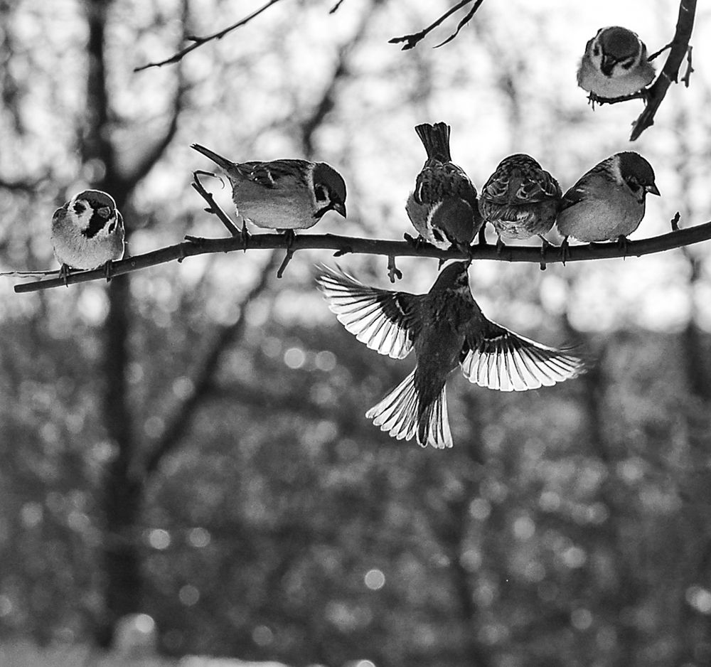 Photograph by Natalia Bolotenkova