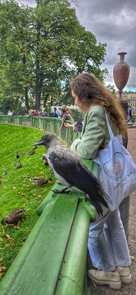В компании серой вороны