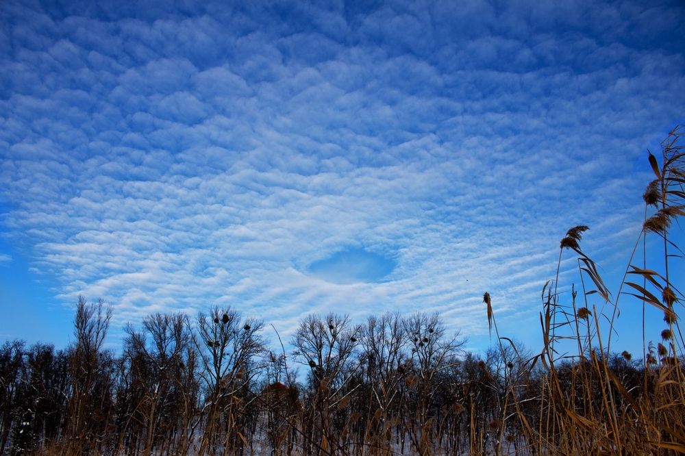 Photograph by Людмила Кучера