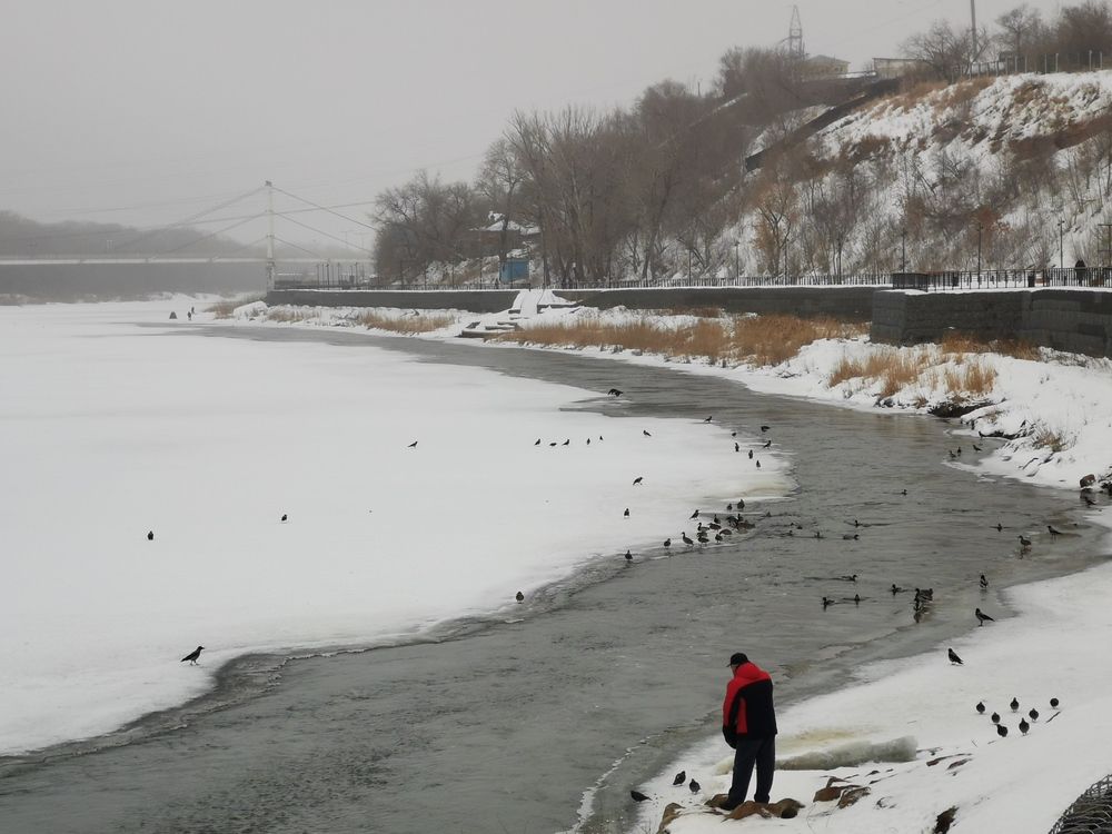 Photograph by Alexey Reznichenko