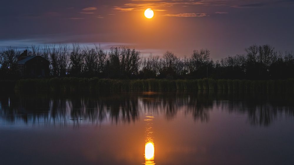 Photograph by Олег Белан