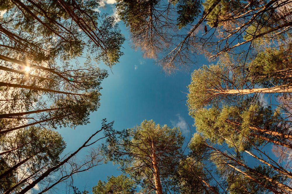 Photograph by Александр Слепцов