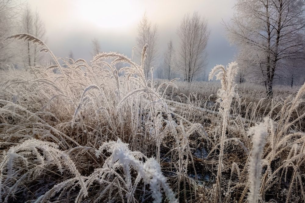 Photograph by Кондрашова Светлана