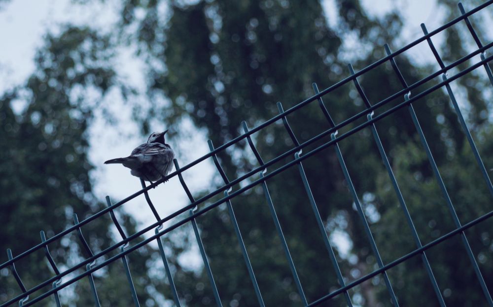 Photograph by Юрий Мокрицкий