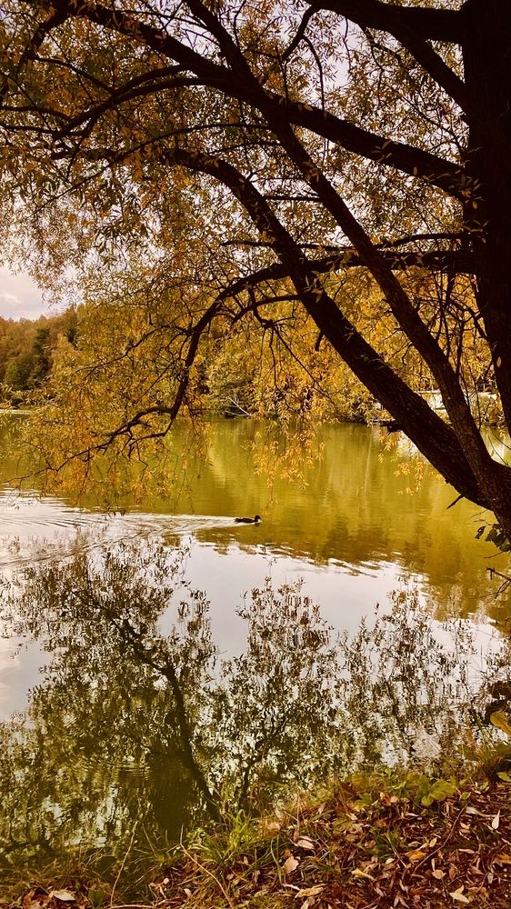 Photograph by Ольга Веретенникова