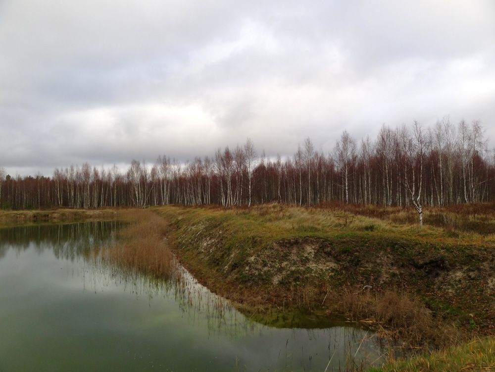 Photograph by Владимир Варава