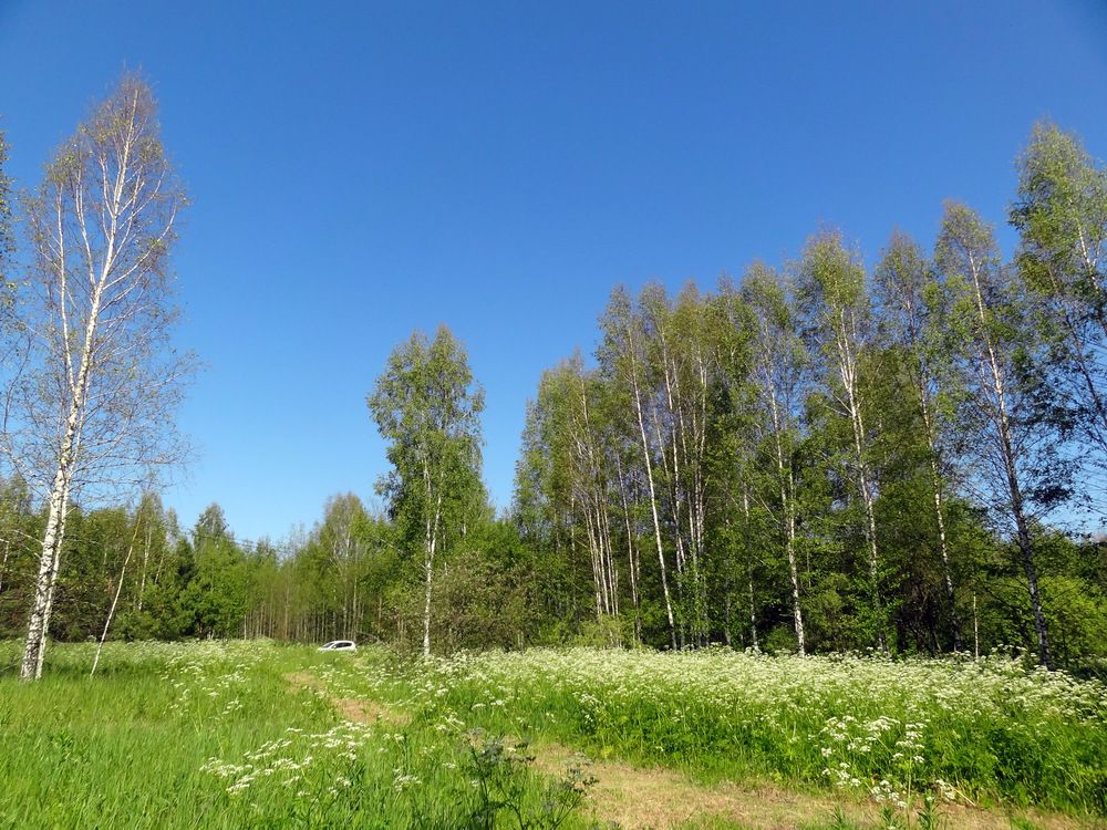 Photograph by Владимир Варава