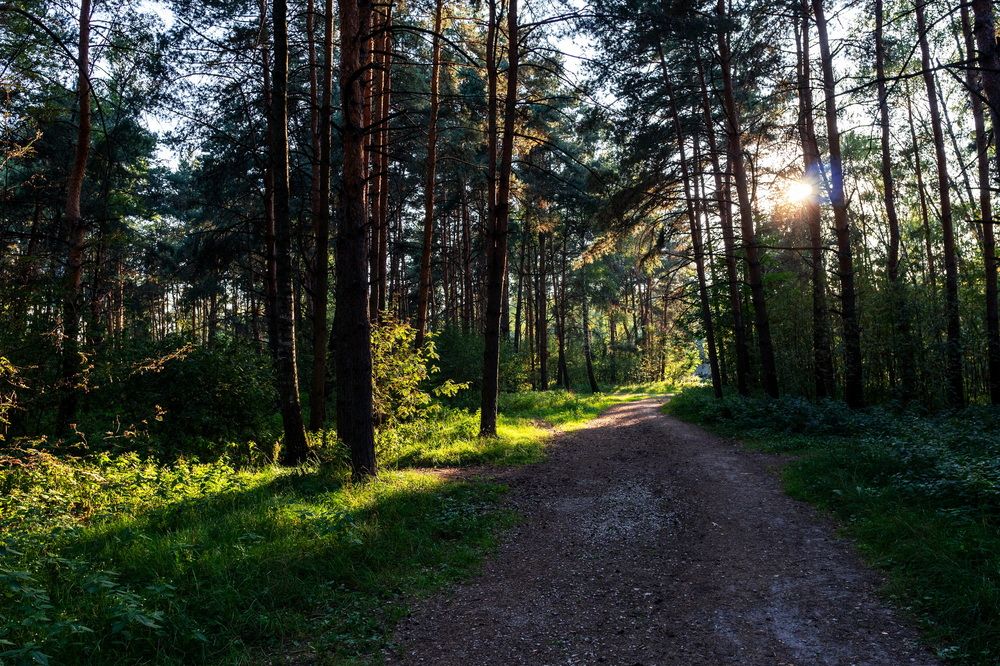 Photograph by Евгений Верещагин