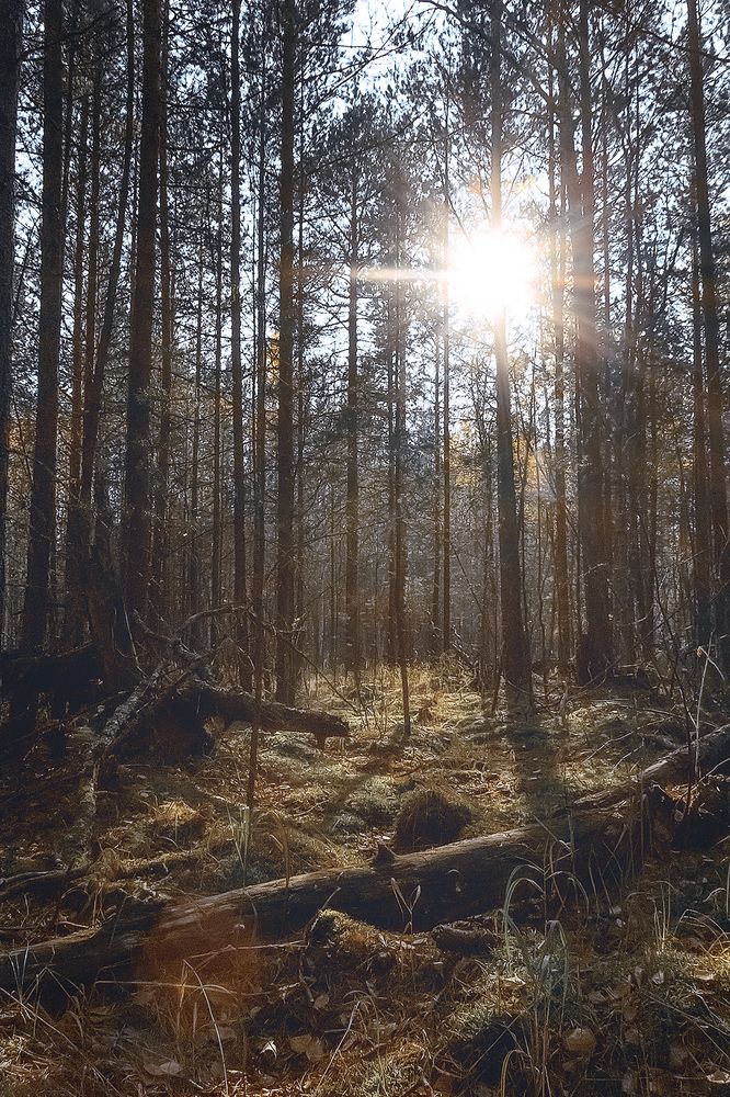 Photograph by Александр Слепцов