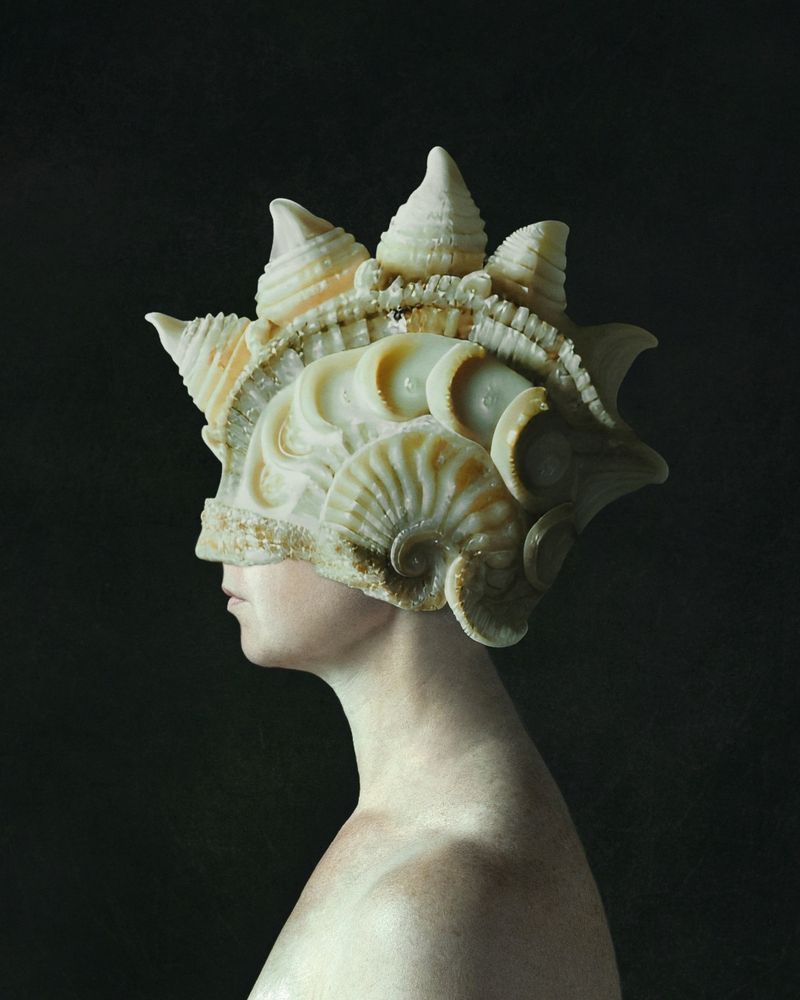 Аммонитовые шляпки