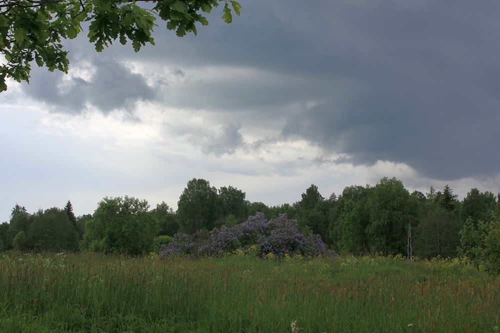 Photograph by Olga Bagaeva