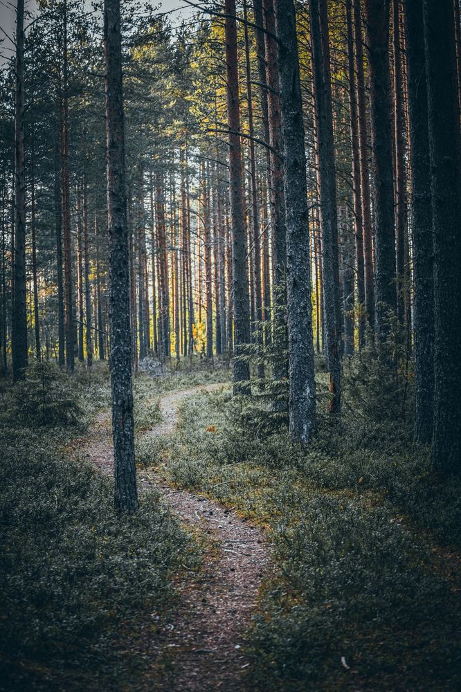 Photograph by Игорь Лузин