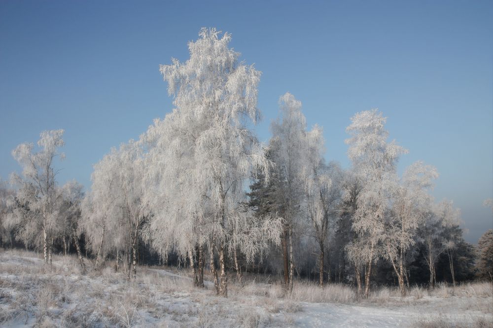 Photograph by Ольга Литвинцева