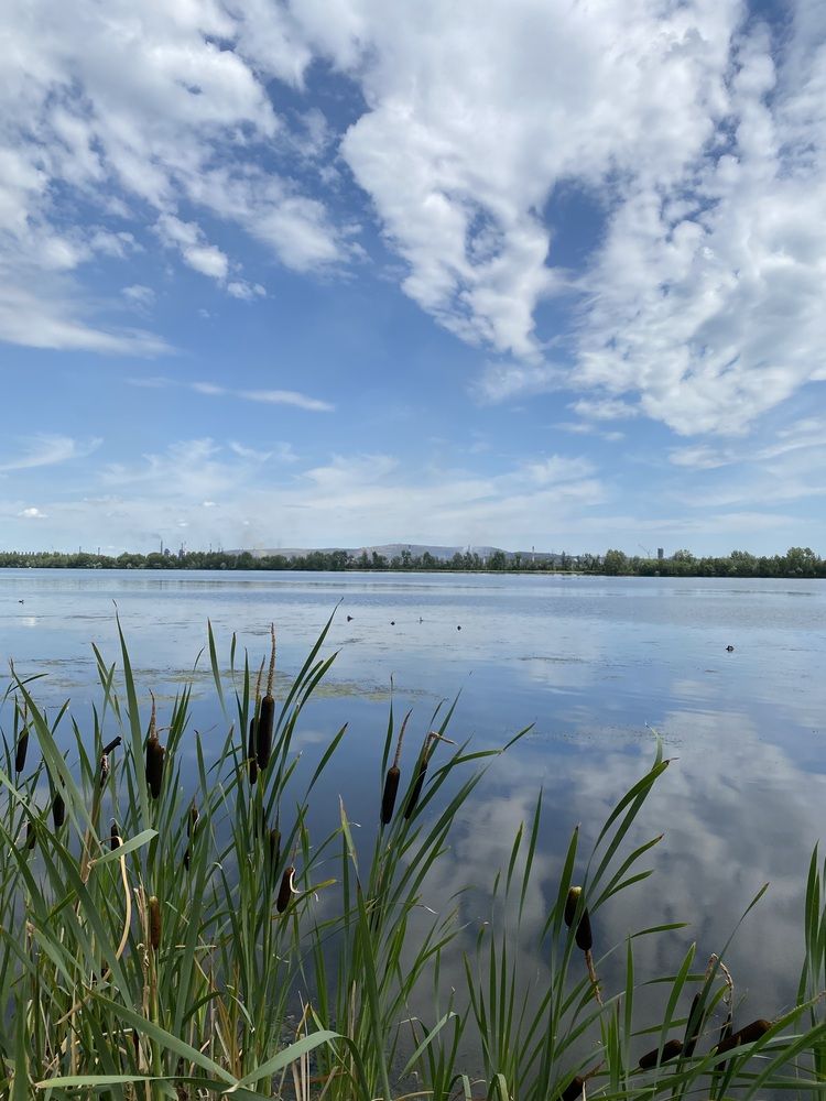 Фотография автора Viktoria