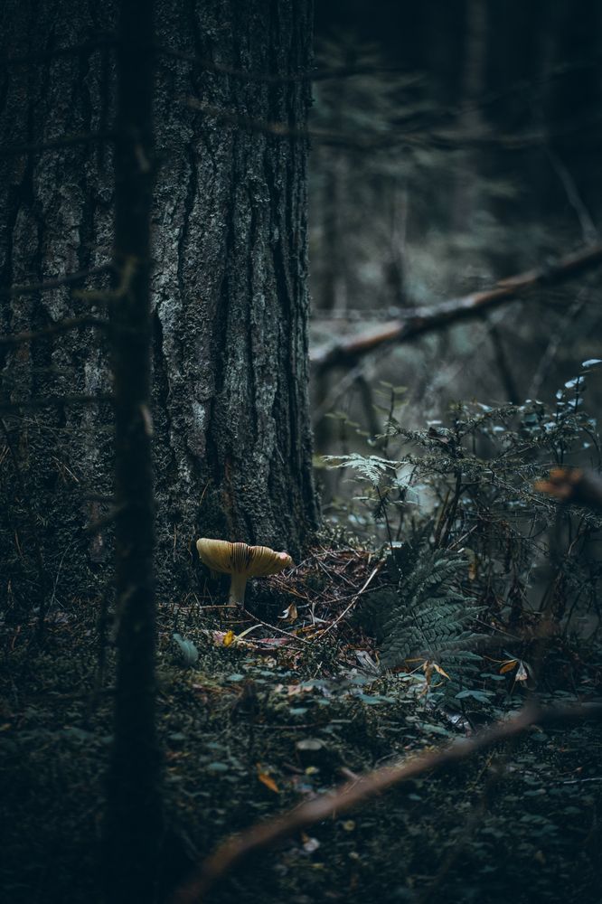 Photograph by Игорь Лузин