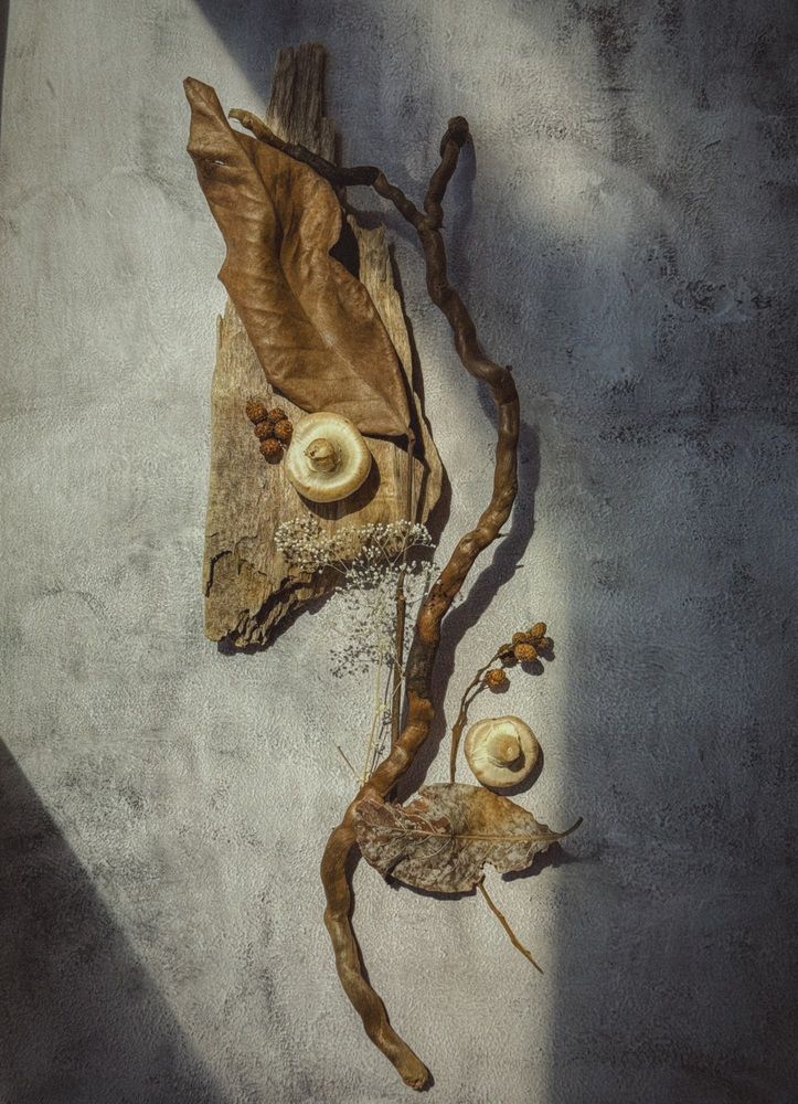 Photograph by Maria Volnova