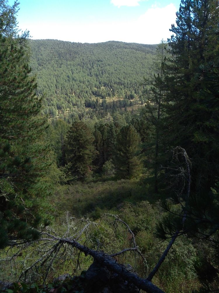 Photograph by СТЕПАН ДЖУЛАКИДЗЕ