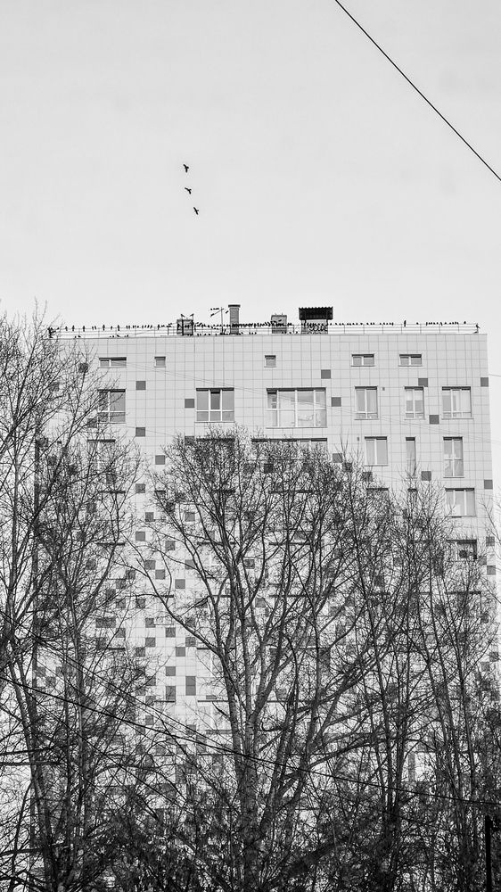 Photograph by Галина Соколова