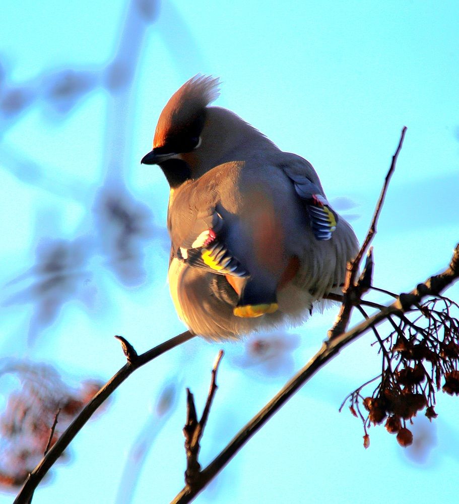 Photograph by 