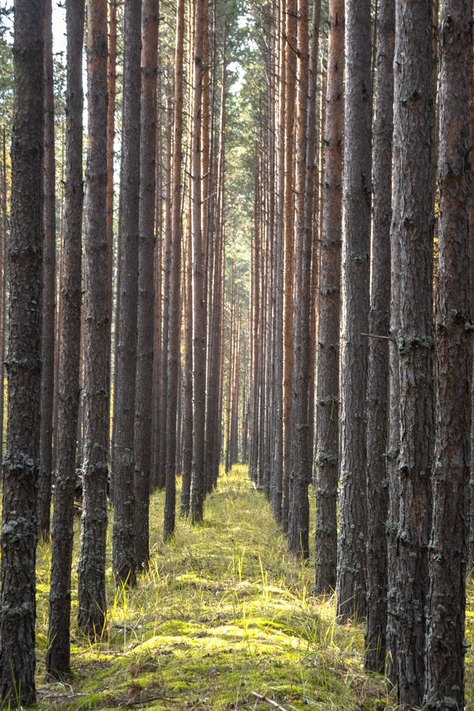 Photograph by Татьяна Романова
