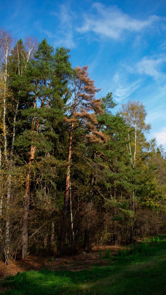 Photograph by Анна Ганькова