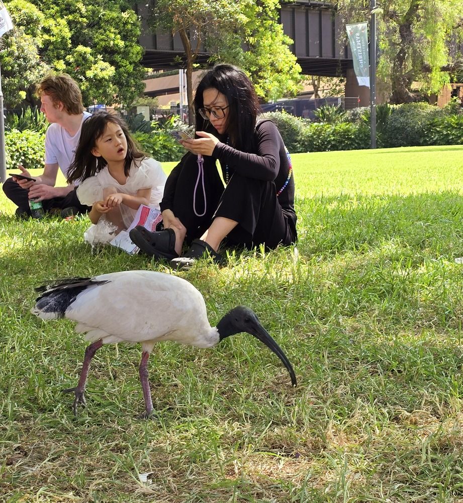 Photograph by Светлана