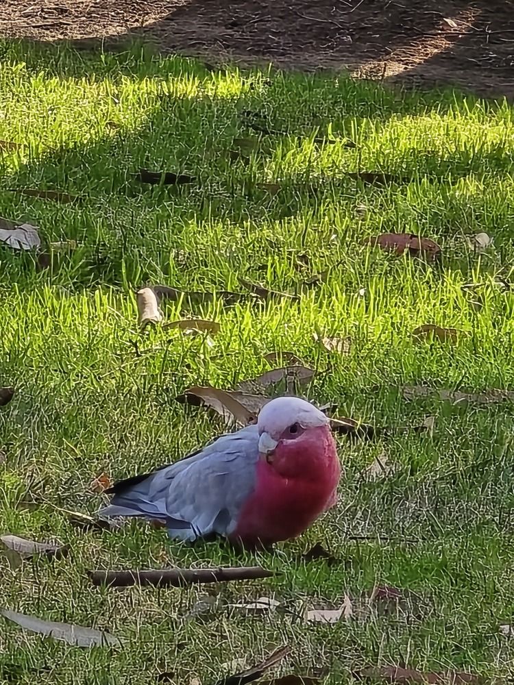 Photograph by Светлана