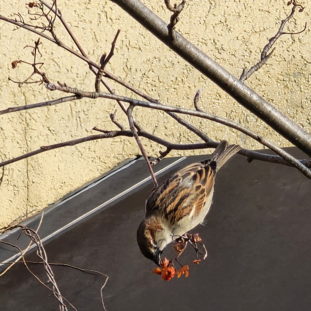 Photograph by Светлана