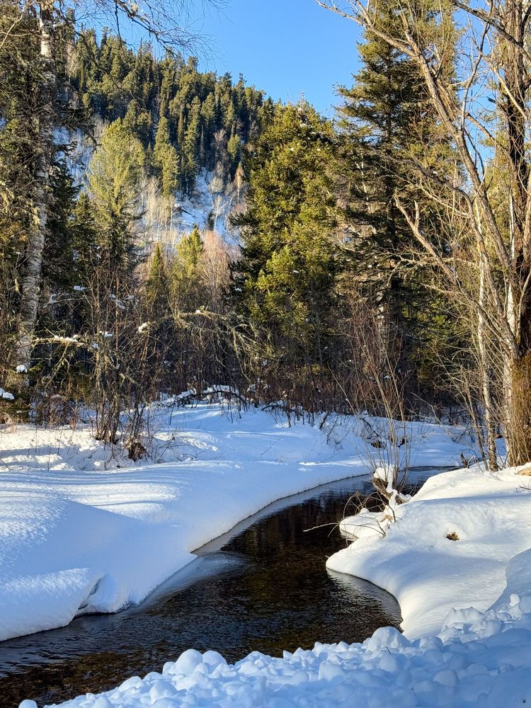 Photograph by Нина Верхотурова