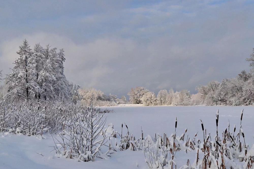 Фотография автора Илья К