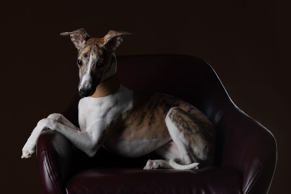 Фотография автора Наталия