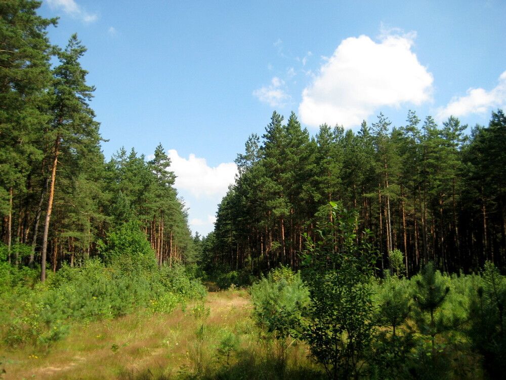 Photograph by Елена Казарина