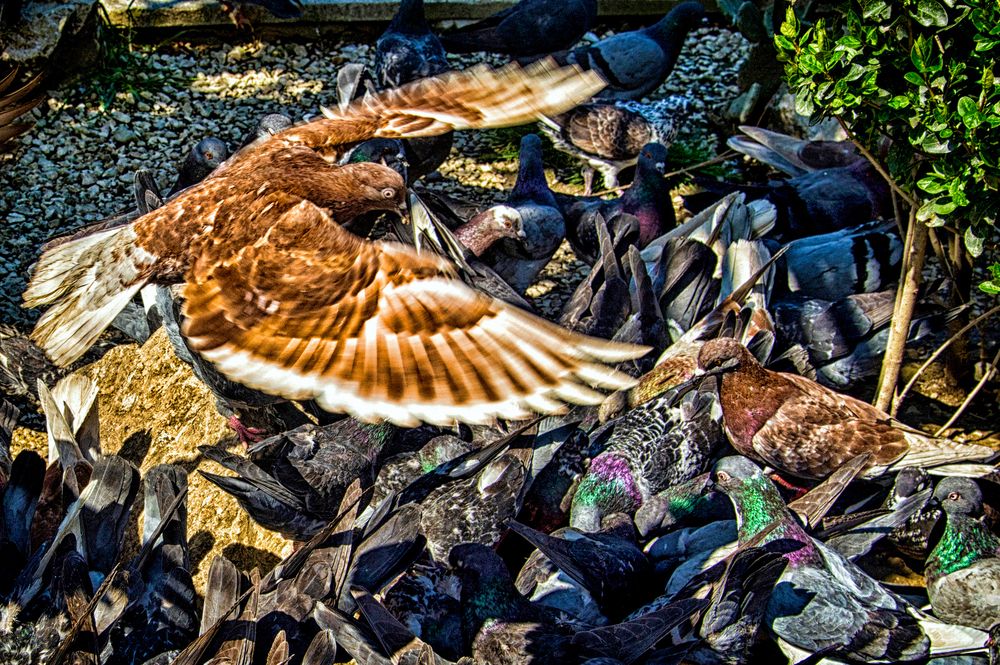 Photograph by arkadii Anufriev