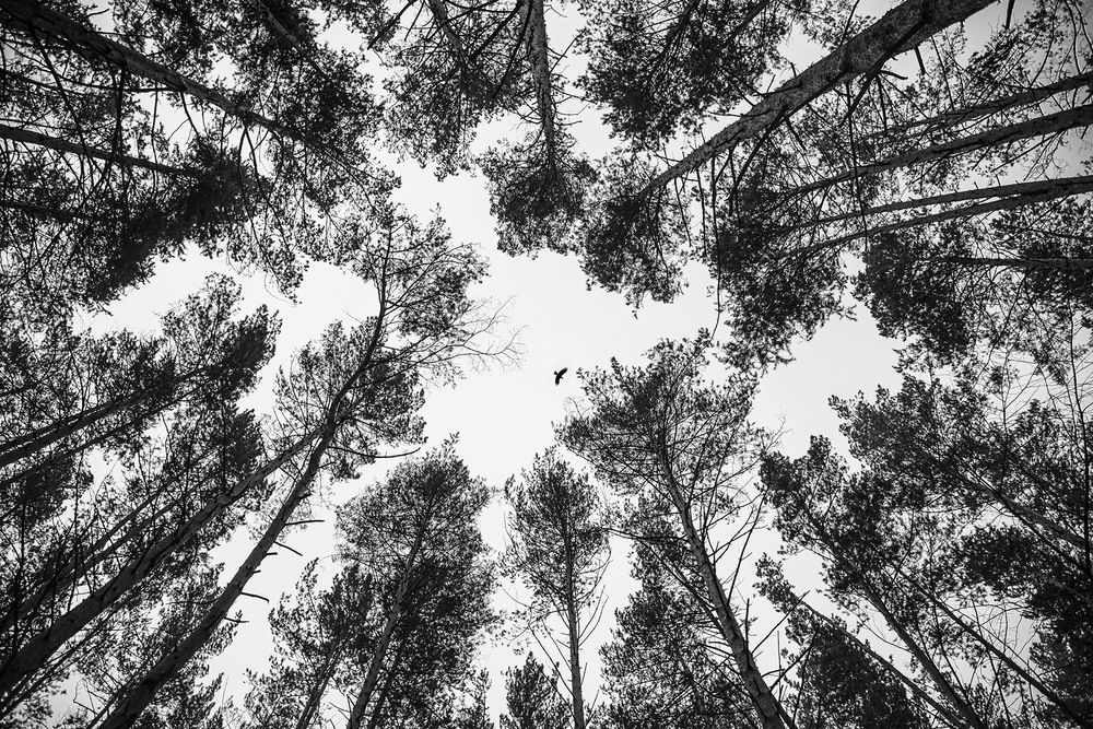 Photograph by Александр Фунтов