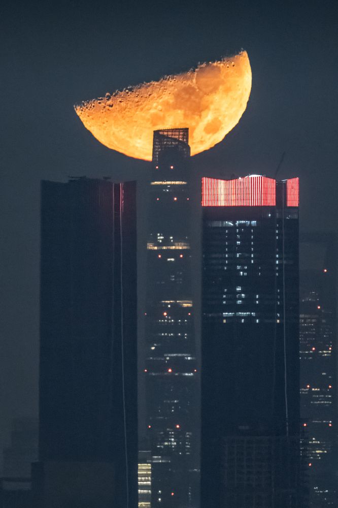 City Bathed in Moonlight