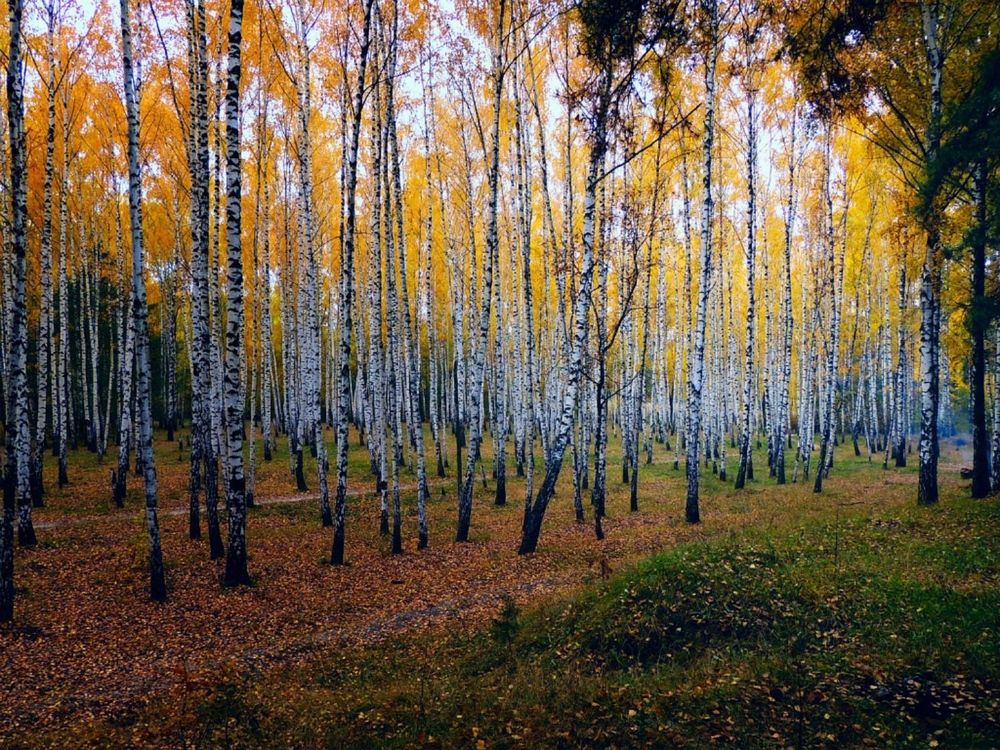 Photograph by Савоцкий Роман