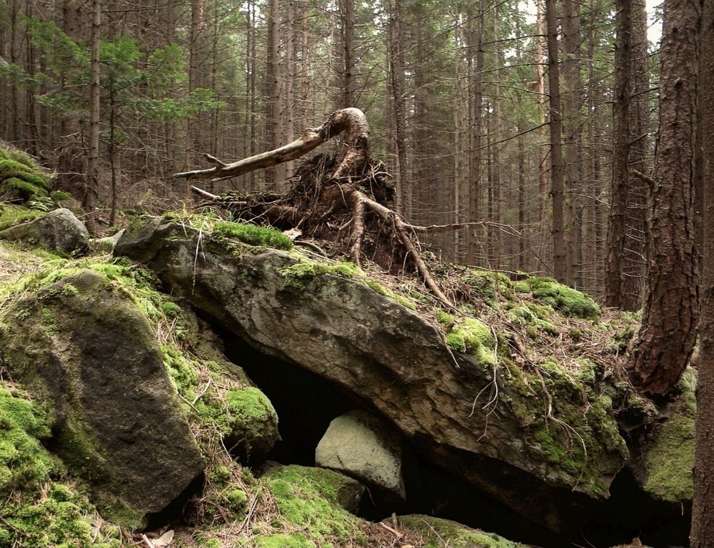 Photograph by Савоцкий Роман