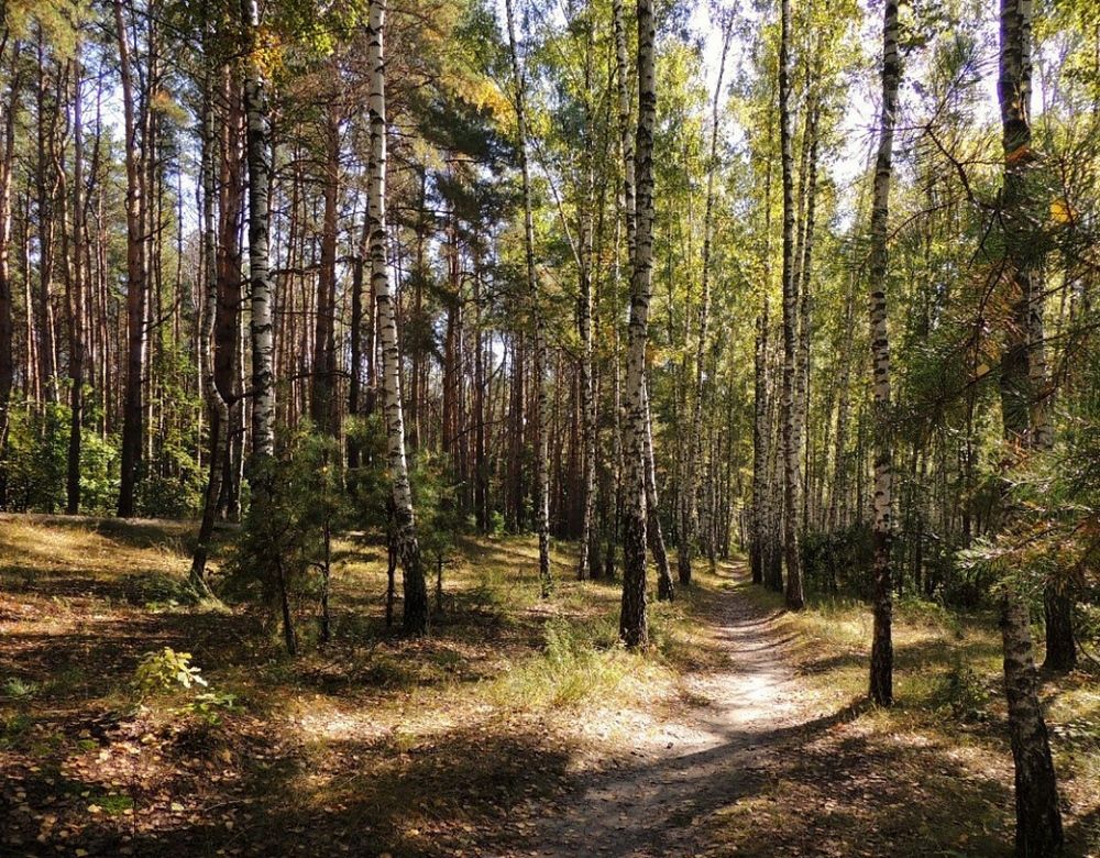 Photograph by Савоцкий Роман