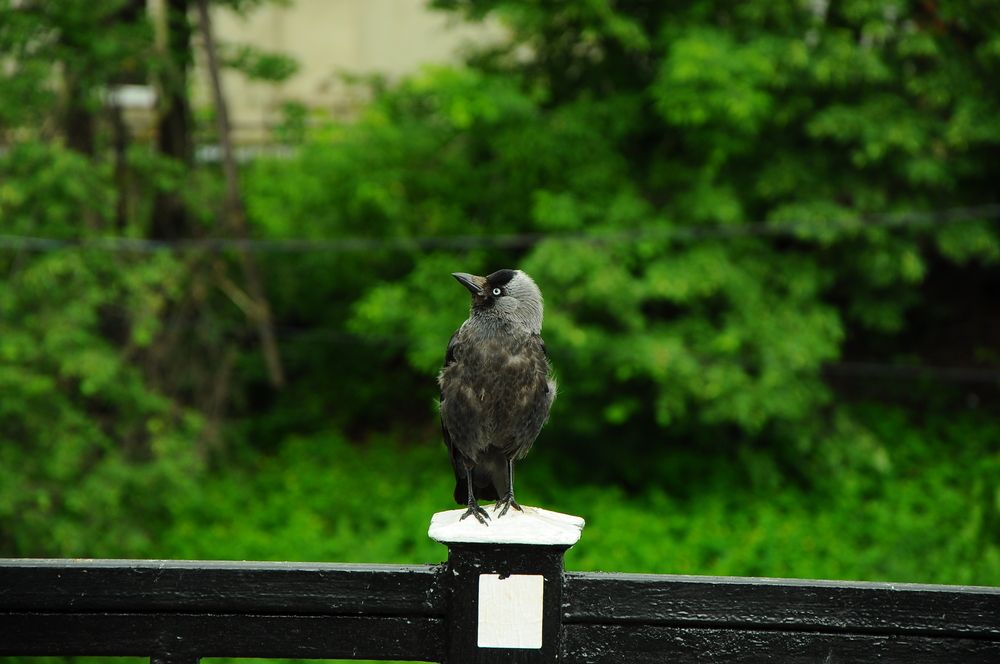 Photograph by Алеся Бутенко