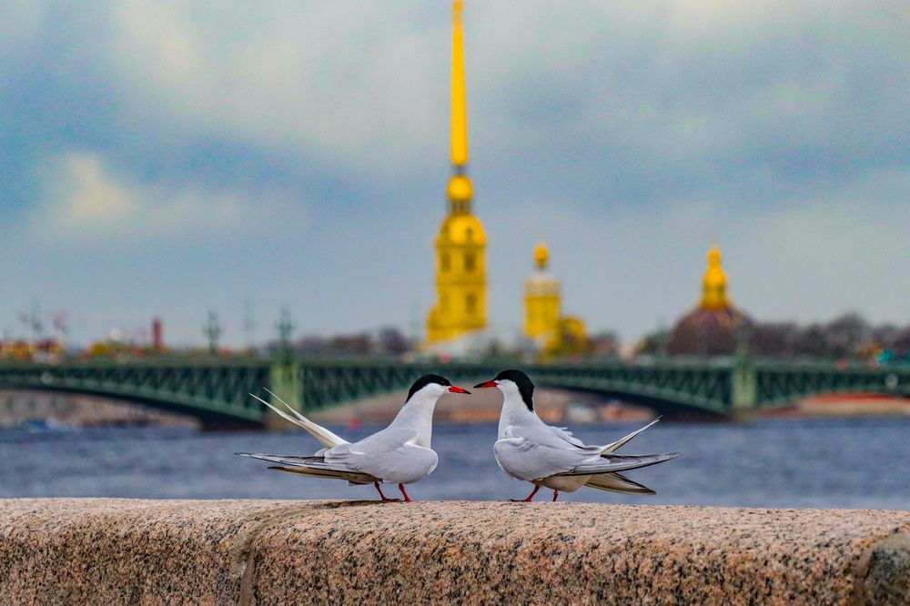 Фотография автора Андрей