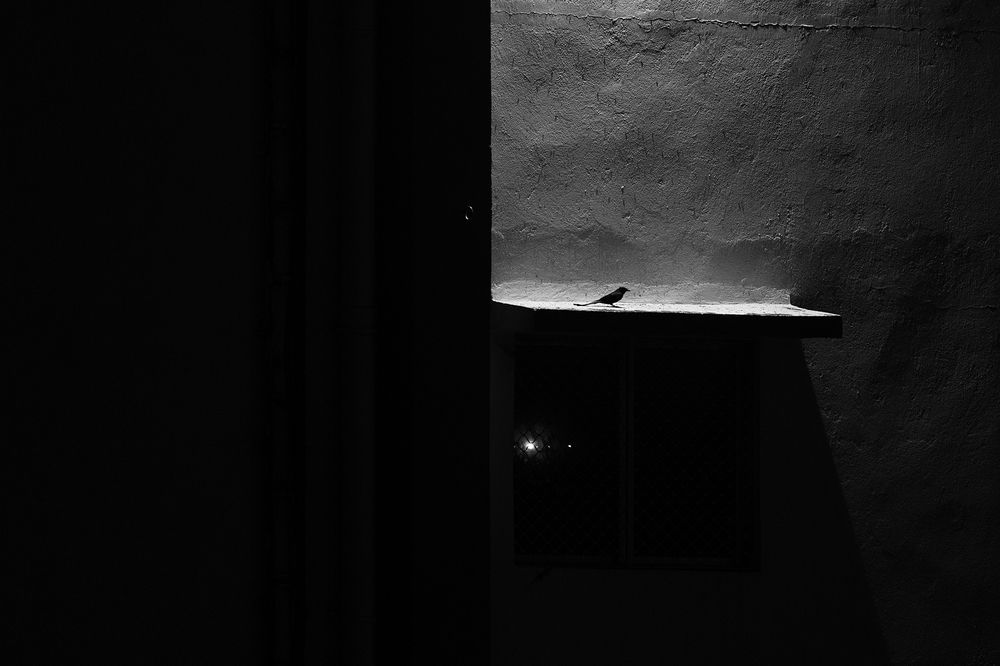 Photograph by Sumon Das