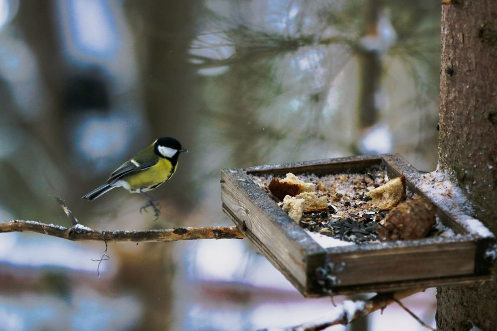 Photograph by Svetlana Kovalchuk