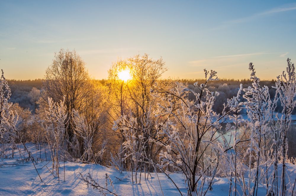 Фотография автора Олег Анатольевич Загорулько