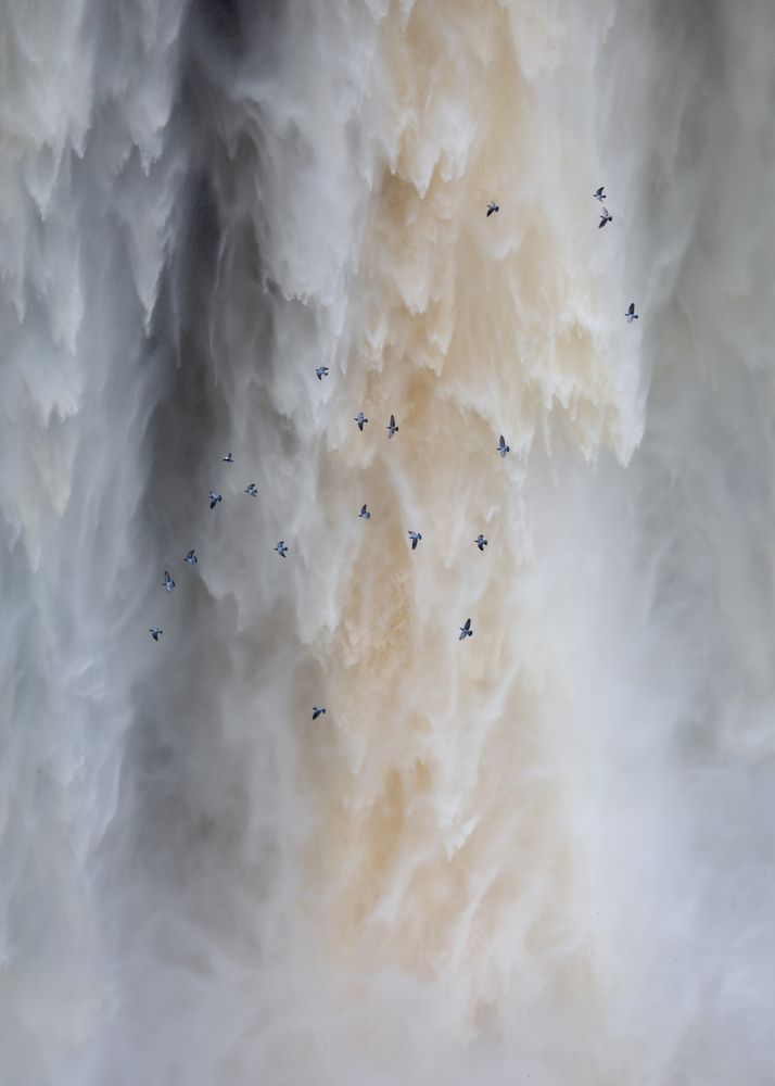 Фотография автора Puneet Verma