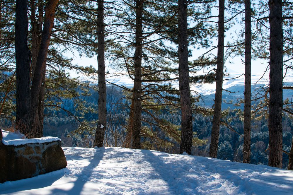 Photograph by Владимир Жигулин