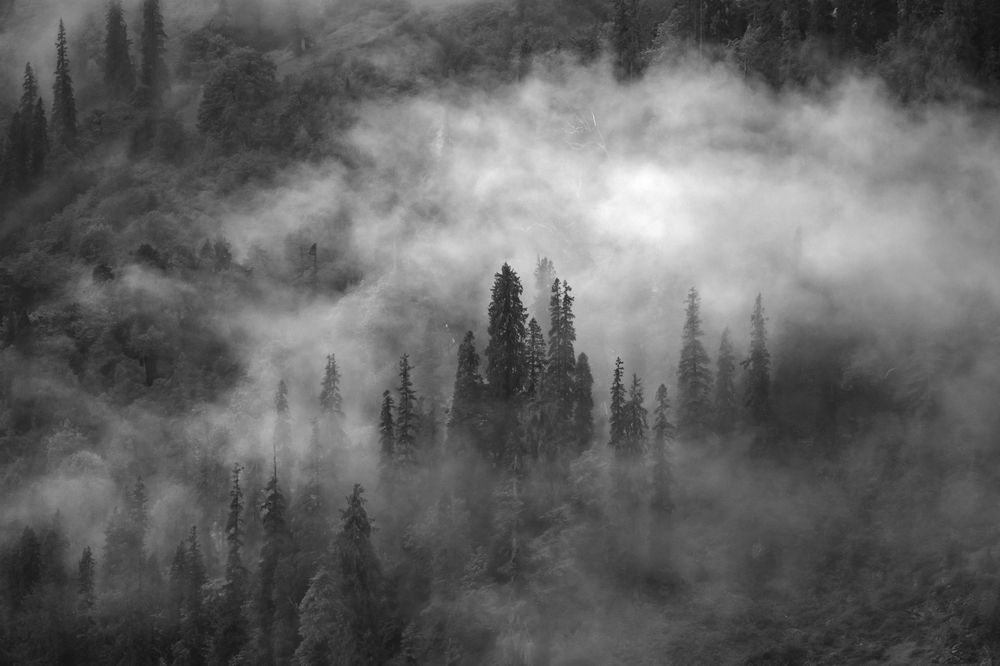 Фотография автора Puneet Verma