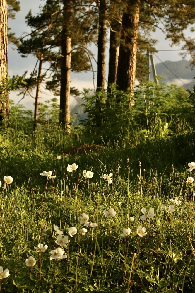 Photograph by Svetlana Kovalchuk