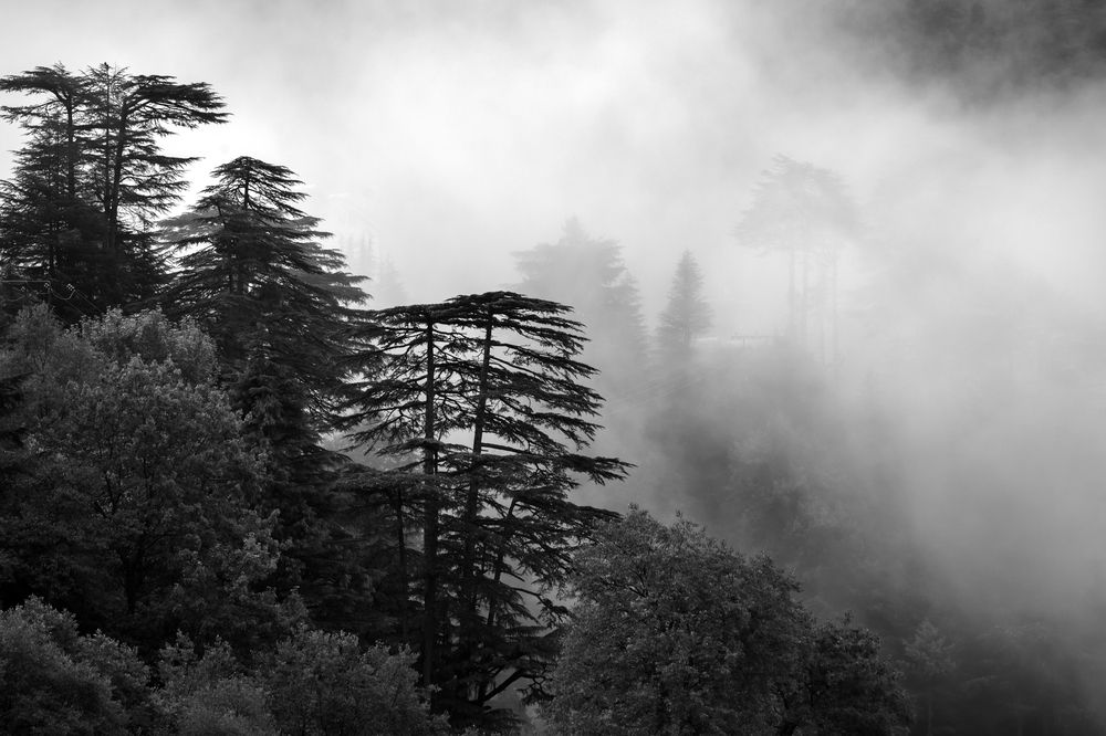 Фотография автора Puneet Verma