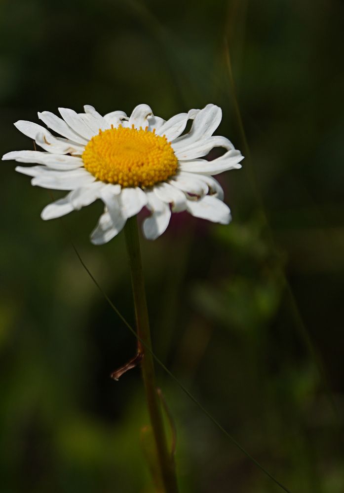 Photograph by Екатерина Слесарева