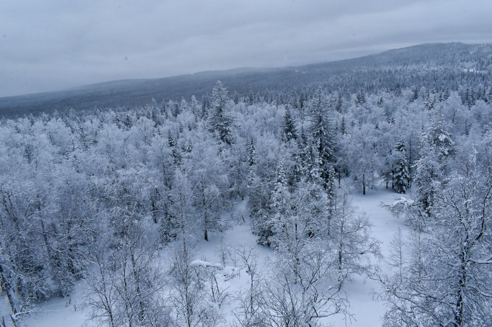 Photograph by Ольга Топорищева